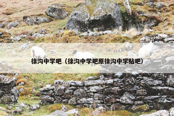 徐沟中学吧（徐沟中学吧原徐沟中学贴吧）