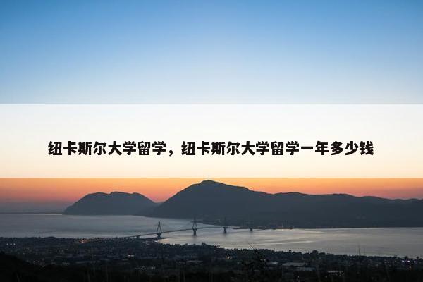 纽卡斯尔大学留学，纽卡斯尔大学留学一年多少钱