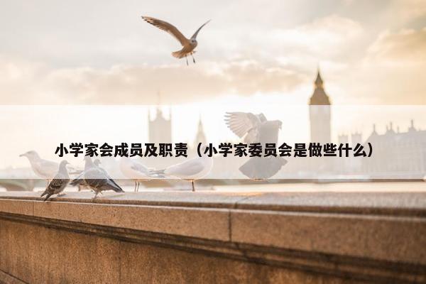 小学家会成员及职责（小学家委员会是做些什么）