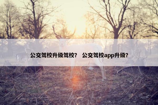 公交驾校升级驾校？ 公交驾校app升级？