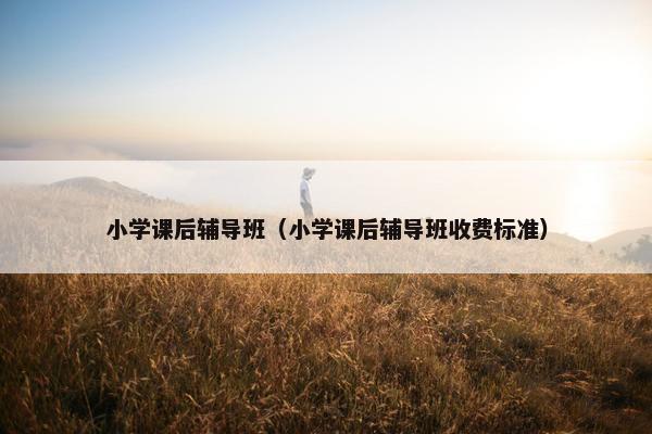 小学课后辅导班（小学课后辅导班收费标准）
