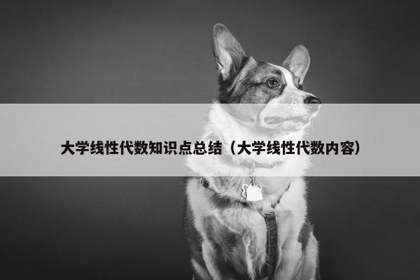大学线性代数知识点总结（大学线性代数内容）