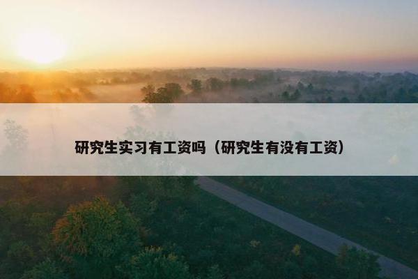 研究生实习有工资吗（研究生有没有工资）