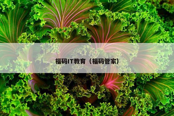 福码IT教育（福码管家）