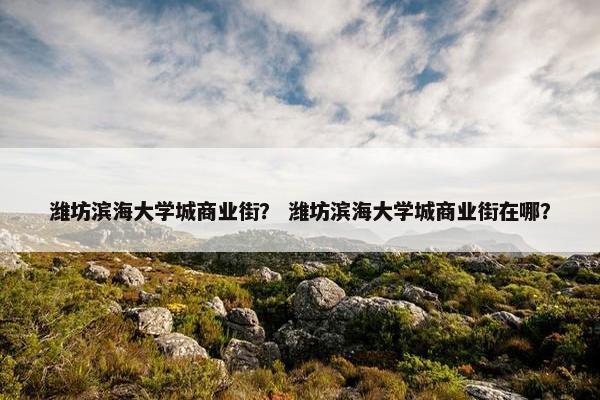 潍坊滨海大学城商业街？ 潍坊滨海大学城商业街在哪？