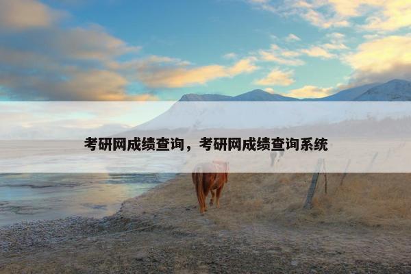 考研网成绩查询，考研网成绩查询系统