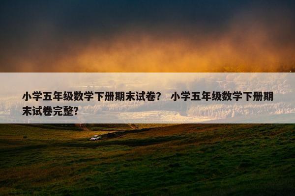 小学五年级数学下册期末试卷？ 小学五年级数学下册期末试卷完整？