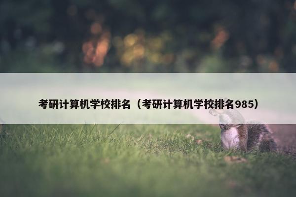 考研计算机学校排名（考研计算机学校排名985）