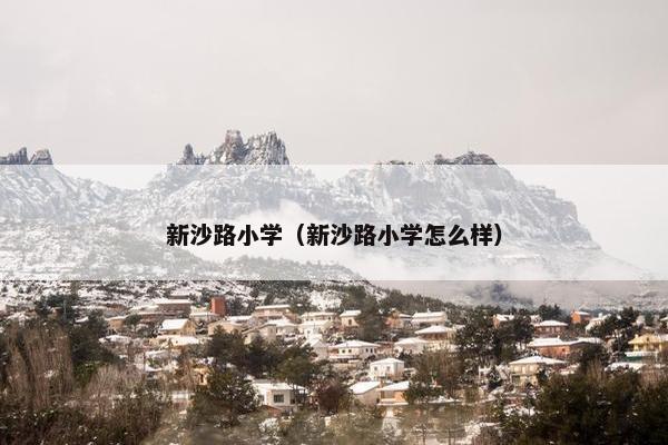 新沙路小学（新沙路小学怎么样）