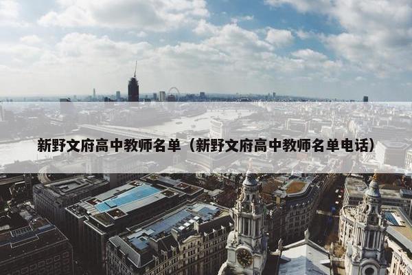 新野文府高中教师名单（新野文府高中教师名单电话）