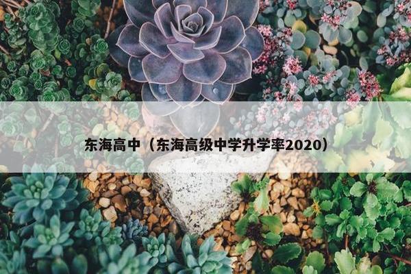 东海高中（东海高级中学升学率2020）
