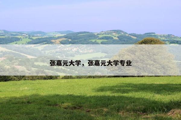张嘉元大学，张嘉元大学专业