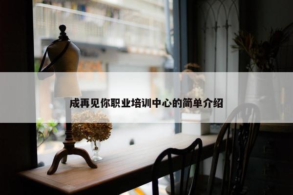 成再见你职业培训中心的简单介绍