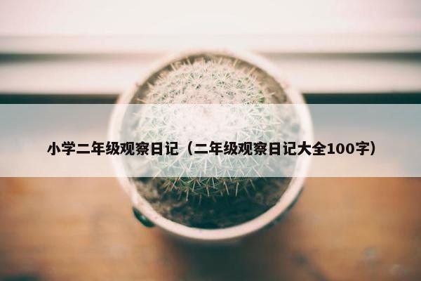 小学二年级观察日记（二年级观察日记大全100字）