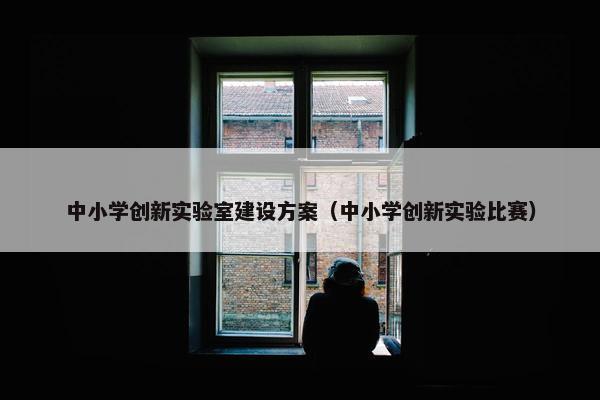 中小学创新实验室建设方案（中小学创新实验比赛）