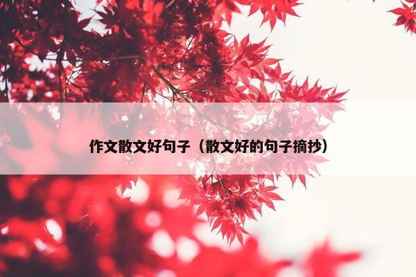 作文散文好句子（散文好的句子摘抄）
