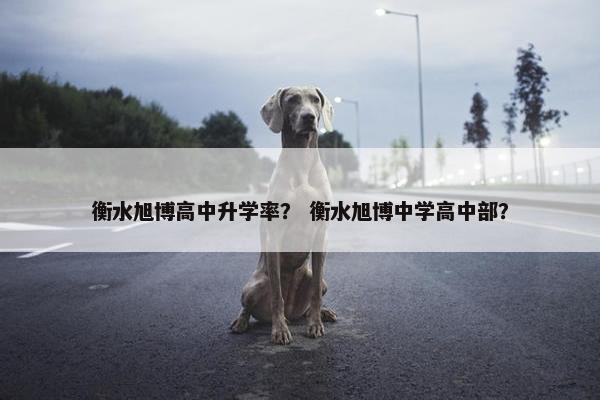 衡水旭博高中升学率？ 衡水旭博中学高中部？