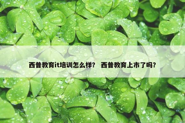 西普教育it培训怎么样？ 西普教育上市了吗？