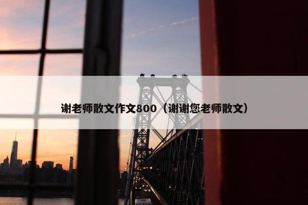 谢老师散文作文800（谢谢您老师散文）