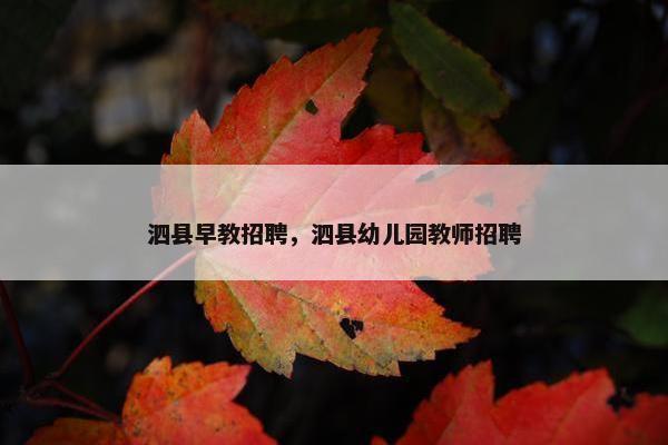 泗县早教招聘，泗县幼儿园教师招聘