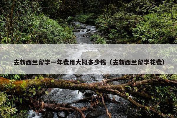 去新西兰留学一年费用大概多少钱（去新西兰留学花费）