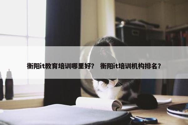衡阳it教育培训哪里好？ 衡阳it培训机构排名？
