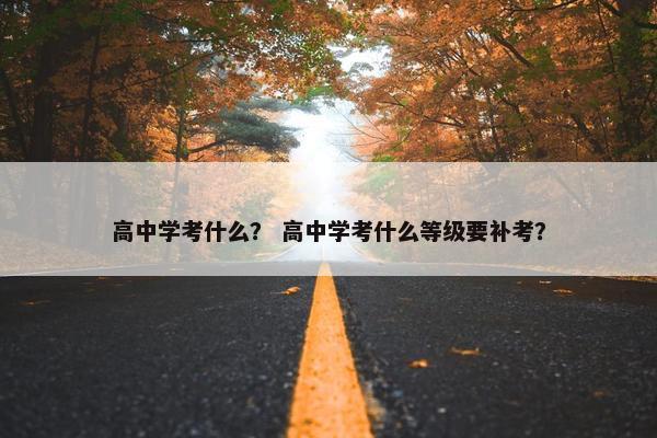 高中学考什么？ 高中学考什么等级要补考？