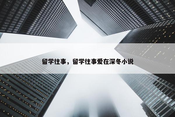 留学往事，留学往事爱在深冬小说