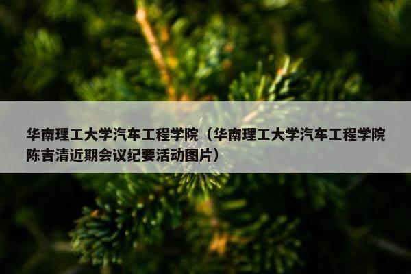 华南理工大学汽车工程学院（华南理工大学汽车工程学院陈吉清近期会议纪要活动图片）