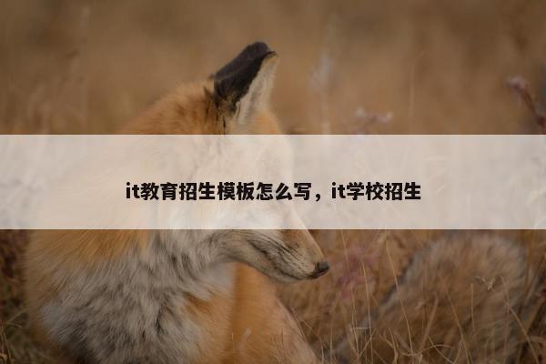 it教育招生模板怎么写，it学校招生