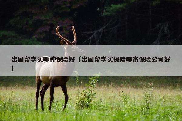 出国留学买哪种保险好(出国留学买保险哪家保险公司好) 出国留学买哪种保险好(出国留学买保险哪家保险公司好)