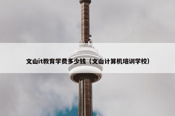 文山it教育学费多少钱（文山计算机培训学校）