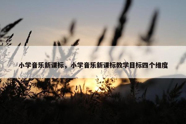 小学音乐新课标，小学音乐新课标教学目标四个维度