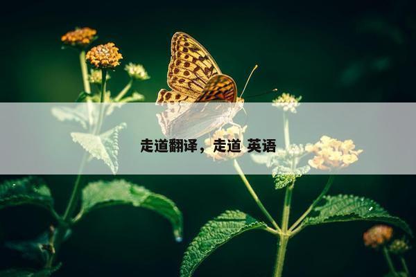 走道翻译，走道 英语