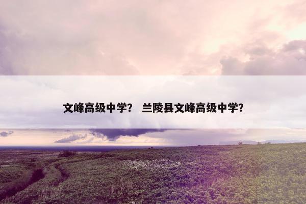 文峰高级中学？ 兰陵县文峰高级中学？