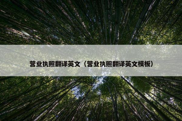 营业执照翻译英文（营业执照翻译英文模板）