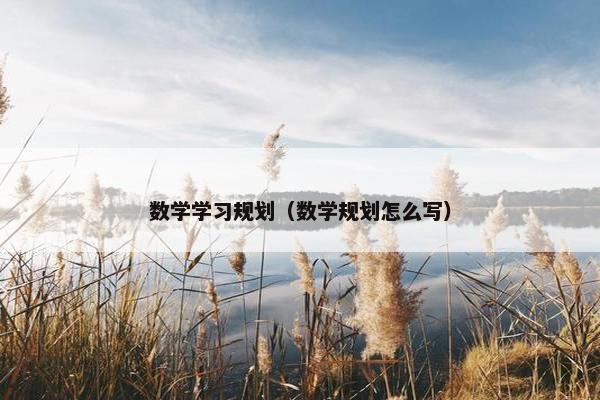 数学学习规划（数学规划怎么写）