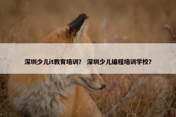 深圳少儿it教育培训？ 深圳少儿编程培训学校？