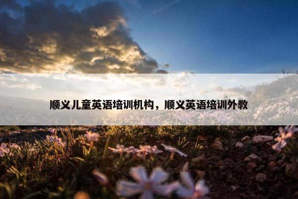 顺义儿童英语培训机构，顺义英语培训外教