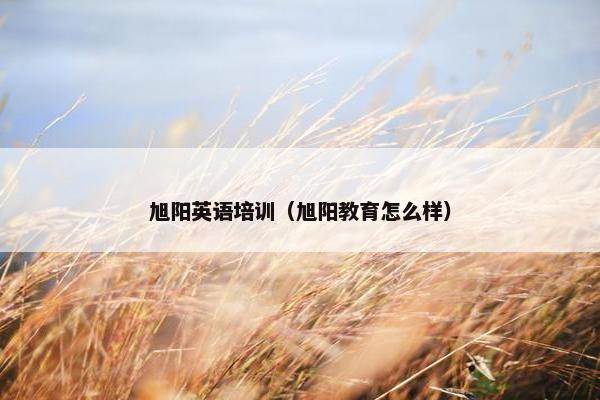 旭阳英语培训（旭阳教育怎么样）