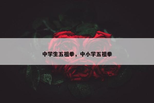 中学生五祖拳，中小学五祖拳