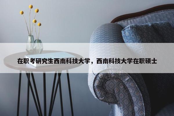 在职考研究生西南科技大学，西南科技大学在职硕士