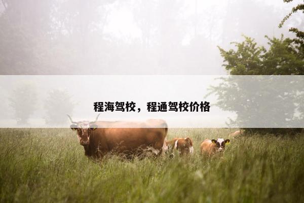 程海驾校，程通驾校价格