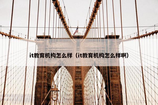 it教育机构怎么样（it教育机构怎么样啊）