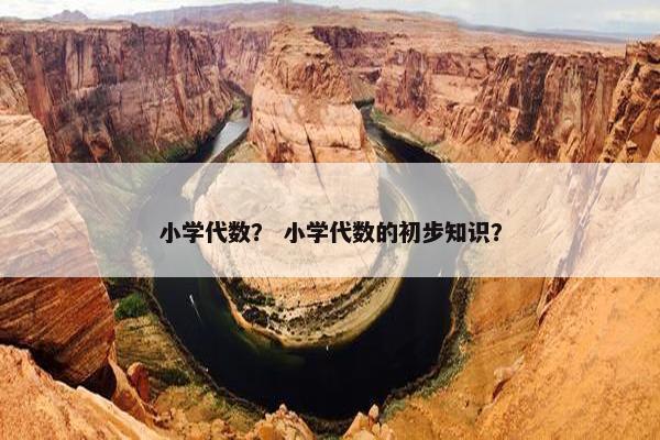 小学代数？ 小学代数的初步知识？