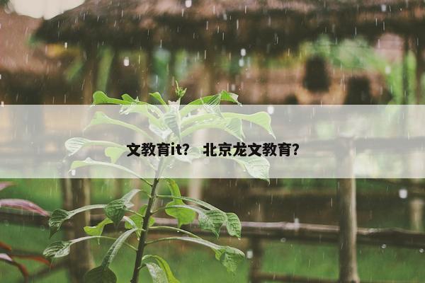 文教育it？ 北京龙文教育？