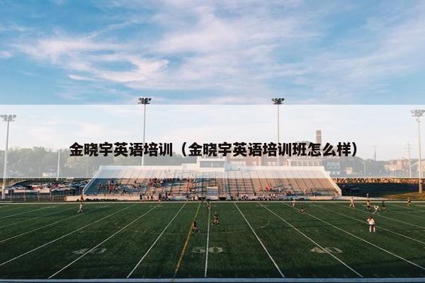 金晓宇英语培训（金晓宇英语培训班怎么样）