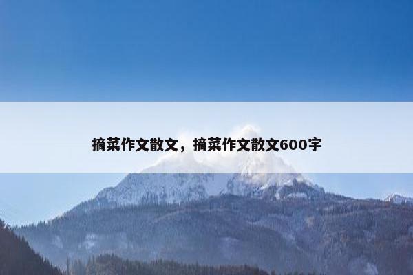 摘菜作文散文，摘菜作文散文600字