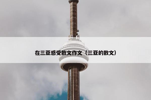 在三亚感受散文作文（三亚的散文）