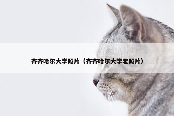 齐齐哈尔大学照片（齐齐哈尔大学老照片）